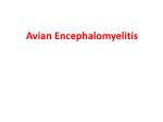 Avian Encephalomyelitis