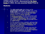 CITRIC ACID CYCLE