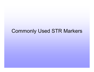 Commonly Used STR Markers