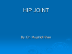 21.Hip Joint