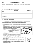 SNC2D TISSUES WORKSHEET Name: Reference: Microviewer