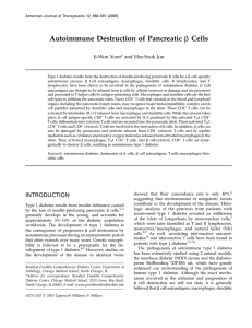 Autoimmune Destruction of Pancreatic b Cells