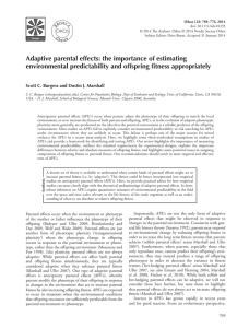 Adaptive parental effects: the importance of estimating
