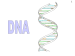 DNA . ppt - biology