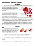 Blood Composition, Vessels, and The Lymphatic System Reading