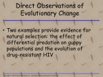 Direct Observations for Evolution
