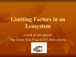Limiting Factors in an Ecosystem