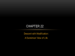Chapter 22 - Darwinian Evolution