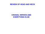 Head_and_Neck_Review_Cranial_Nerves_part1_2012