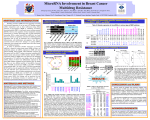 MicroRNA Involvement in Breast Cancer Multidrug Resistance