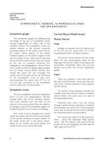 Sympathetic Nerves,Phrenic and Splanchnic Nerves