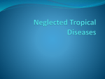 Neglected Tropical Diseases