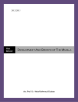 Development AND GROWTH of The MAXILLA