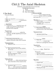 Ch5 - whsanatomy