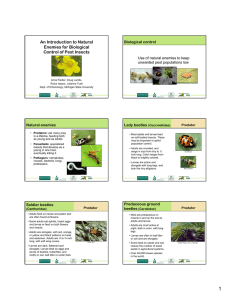 An Introduction to Natural Enemies for Biological Control of Pest