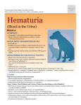 Hematuria