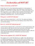 Escherichia coli 0157:H7 What is Escherichia coli 0157:H7?