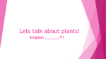Lets talk about plants!