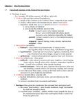 6.3 Central Nervous System