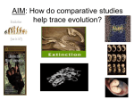 How do comparative studies help trace evolution?