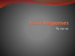 Plant Responses