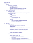 Nervous system notes