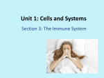 c. Section 1.3 The Immune System