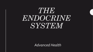 The Endocrine System Lecture