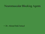 Neuromuscular Blockers