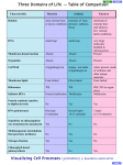 Three Domains of Life Table of Comparison Visualizing Cell