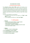 autonomic nervous system