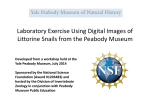 Laboratory Exercise - Yale Peabody Museum of Natural History