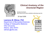 Clinical Anatomy of the Anorectal Region