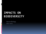 Impacts on Biodiversity