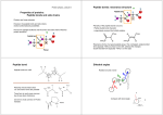 Peptide bonds and side chains Peptide bonds