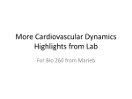 Cardiovascular Dynamics Highlights File