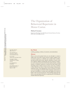 the organization of behavioral repertoire in motor cortex