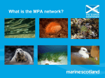 Marine Planning in Scotland - Scottish Islands Federation
