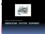 Endocrine System Jeopardy
