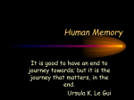 Human Memory