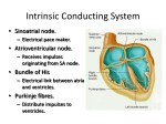 Intrinsic Conducting System
