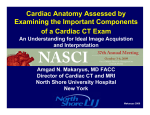 CT Anatomy of the Heart