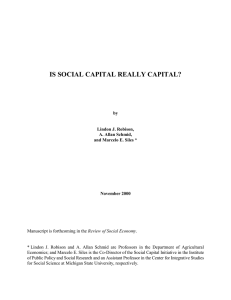 is social capital really capital?