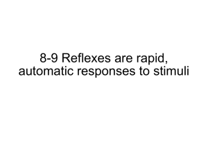 8-9 Reflexes are rapid, automatic responses to stimuli