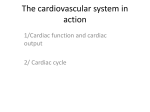 Unit2-CardiacVascularSystemInAction