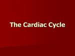 The Cardiac Cycle