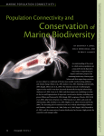 Conservation of Marine Biodiversity