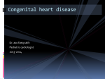 Ventricular Septal Defect ( VSD )