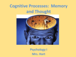 Cognitive Processes: Memory and Thought