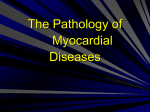 Myocardium 2013